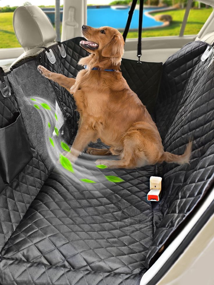 Haven Trail Protective Hammock Pet Seat Cover